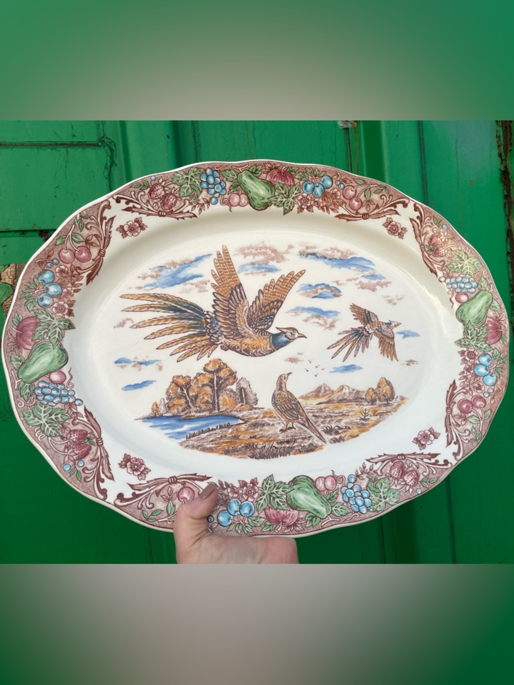 Vintage Hand Painted Japanese Pheasant Serving Platter with Fruit Border